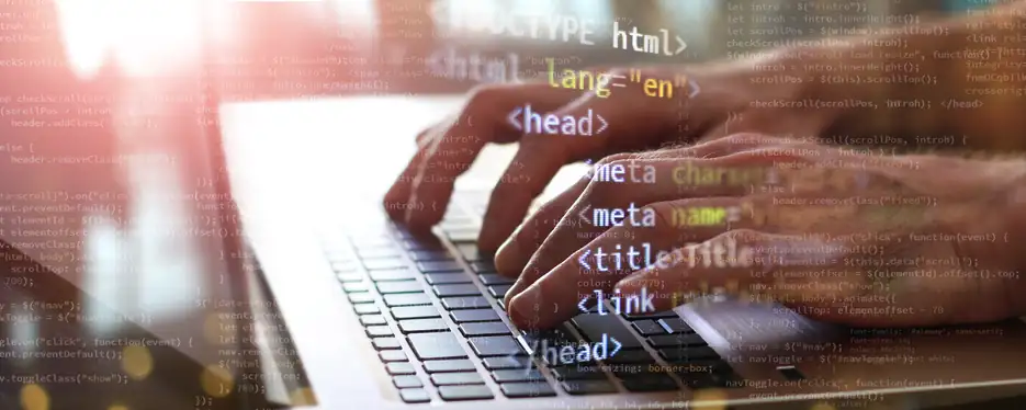 web development career